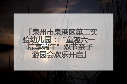 泉州市泉港区第二实验幼儿园：“童趣六一·粽享端午”双节亲子游园会欢乐开启