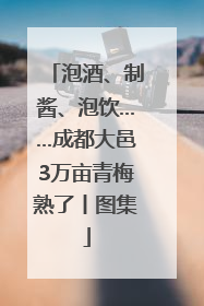 泡酒、制酱、泡饮……成都大邑3万亩青梅熟了丨图集
