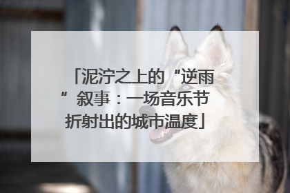 泥泞之上的“逆雨”叙事：一场音乐节折射出的城市温度