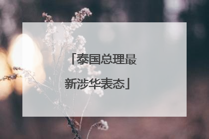 泰国总理最新涉华表态