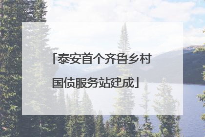 泰安首个齐鲁乡村国债服务站建成