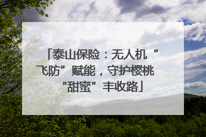 泰山保险：无人机“飞防”赋能，守护樱桃“甜蜜”丰收路