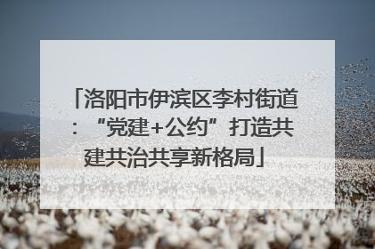 洛阳市伊滨区李村街道：“党建+公约”打造共建共治共享新格局