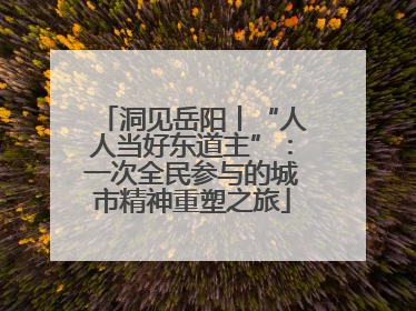 洞见岳阳丨“人人当好东道主”：一次全民参与的城市精神重塑之旅