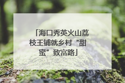 海口秀英火山荔枝王铺就乡村“甜蜜”致富路