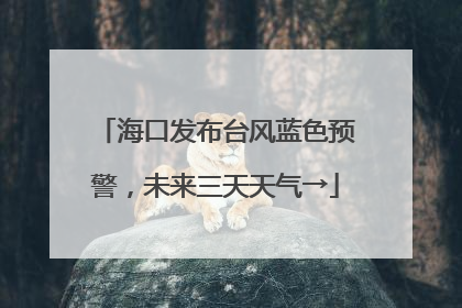 海口发布台风蓝色预警，未来三天天气→