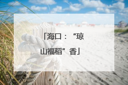 海口：“琼山福稻”香