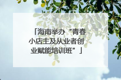 海南举办“青春小店主及从业者创业赋能培训班”