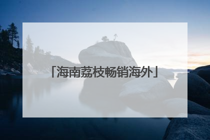 海南荔枝畅销海外