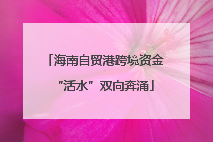 海南自贸港跨境资金“活水”双向奔涌