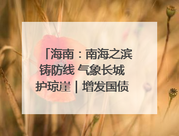 海南：南海之滨铸防线 气象长城护琼崖｜增发国债气象项目落地见效系列报道