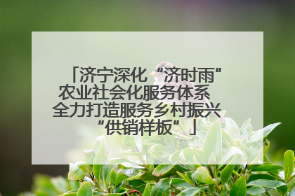 济宁深化“济时雨”农业社会化服务体系 全力打造服务乡村振兴“供销样板”