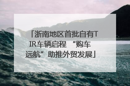 浙南地区首批自有TIR车辆启程 “购车远航”助推外贸发展