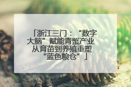 浙江三门：“数字大脑”赋能青蟹产业 从育苗到养殖重塑“蓝色粮仓”