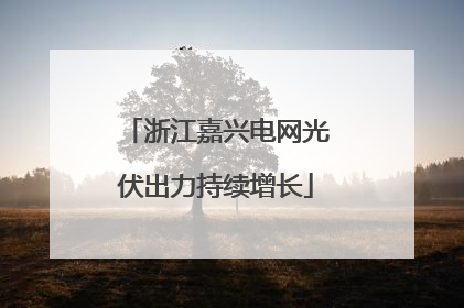 浙江嘉兴电网光伏出力持续增长
