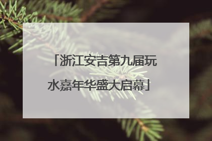 浙江安吉第九届玩水嘉年华盛大启幕