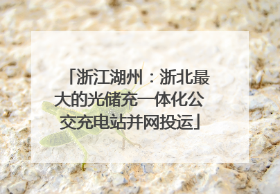 浙江湖州：浙北最大的光储充一体化公交充电站并网投运