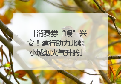 消费券“暖”兴安！建行助力北疆小城烟火气升腾