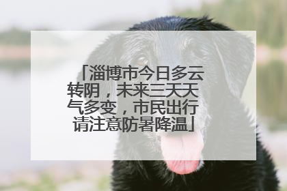 淄博市今日多云转阴，未来三天天气多变，市民出行请注意防暑降温
