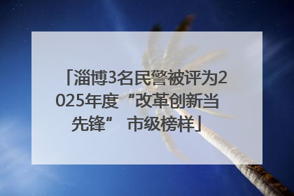 淄博3名民警被评为2025年度“改革创新当先锋” 市级榜样
