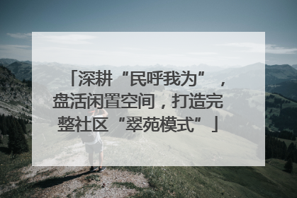 深耕“民呼我为”，盘活闲置空间，打造完整社区“翠苑模式”