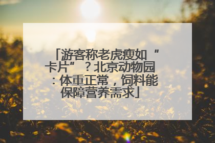 游客称老虎瘦如“卡片”？北京动物园：体重正常，饲料能保障营养需求