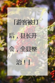 游客被打后，县长开会，全县整治！