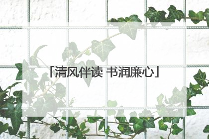 清风伴读 书润廉心