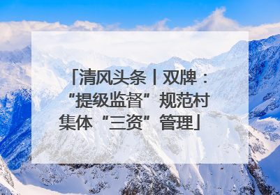 清风头条丨双牌：“提级监督”规范村集体“三资”管理