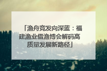 渔舟竞发向深蓝：福建渔业借渔博会解码高质量发展新路径