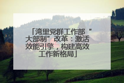 湾里党群工作部“大部制”改革：激活效能引擎，构建高效工作新格局