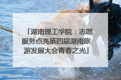 湖南理工学院：志愿服务点亮第四届湖南旅游发展大会青春之光