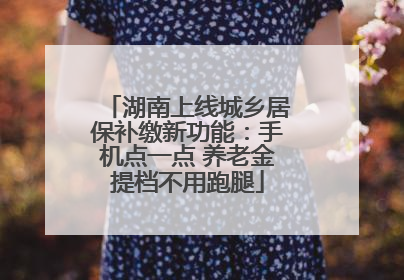 湖南上线城乡居保补缴新功能：手机点一点 养老金提档不用跑腿