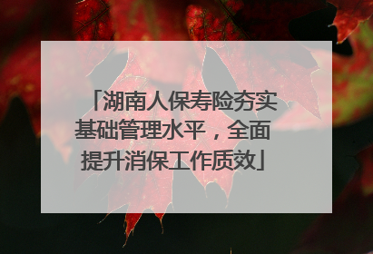 湖南人保寿险夯实基础管理水平，全面提升消保工作质效