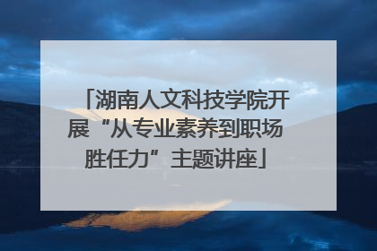 湖南人文科技学院开展“从专业素养到职场胜任力”主题讲座
