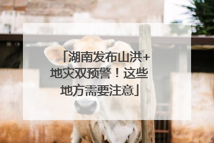 湖南发布山洪+地灾双预警！这些地方需要注意