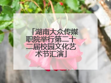 湖南大众传媒职院举行第二十二届校园文化艺术节汇演