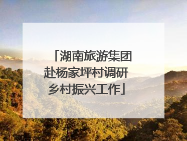 湖南旅游集团赴杨家坪村调研乡村振兴工作