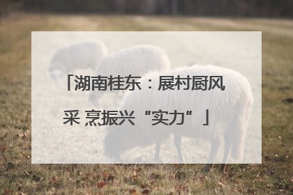 湖南桂东：展村厨风采 烹振兴“实力”