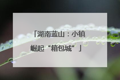 湖南蓝山：小镇崛起“箱包城”