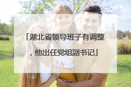 湖北省领导班子有调整，他出任党组副书记