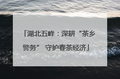湖北五峰：深耕“茶乡警务” 守护春茶经济