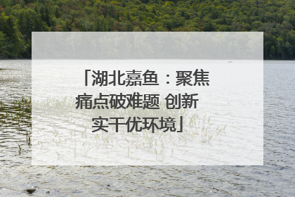 湖北嘉鱼：聚焦痛点破难题 创新实干优环境