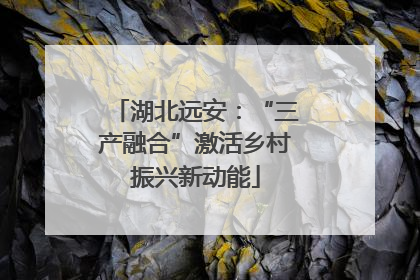 湖北远安：“三产融合”激活乡村振兴新动能