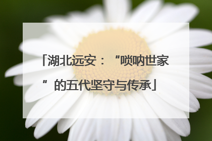 湖北远安：“唢呐世家”的五代坚守与传承