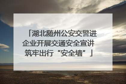 湖北随州公安交警进企业开展交通安全宣讲筑牢出行“安全墙”