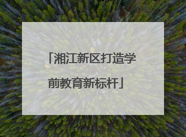 湘江新区打造学前教育新标杆