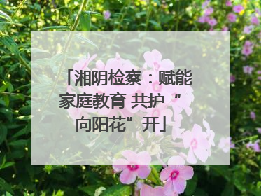 湘阴检察：赋能家庭教育 共护“向阳花”开
