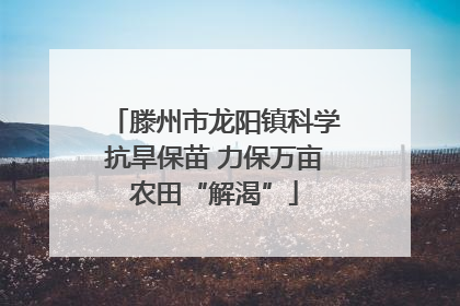 滕州市龙阳镇科学抗旱保苗 力保万亩农田“解渴”