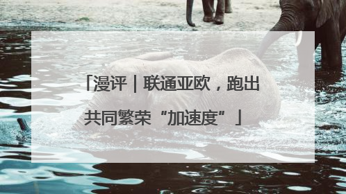 漫评｜联通亚欧，跑出共同繁荣“加速度”